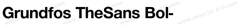Grundfos TheSans Bol字体转换